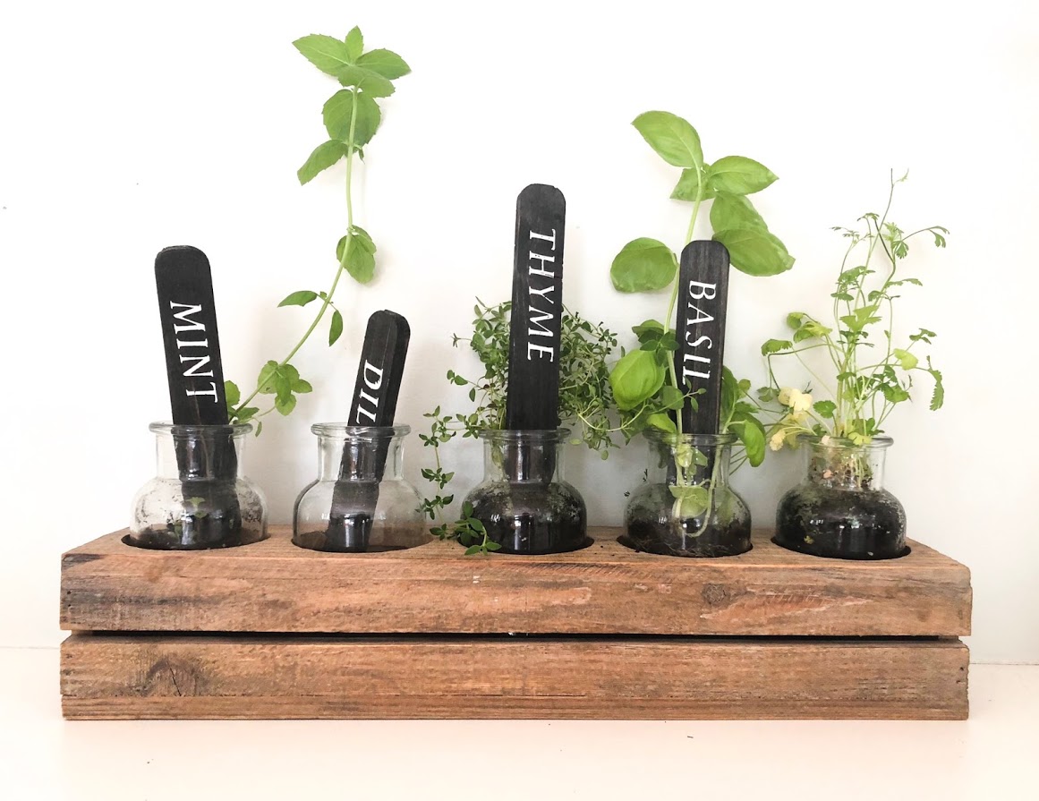 How To Grow An Easy Indoor Herb Garden