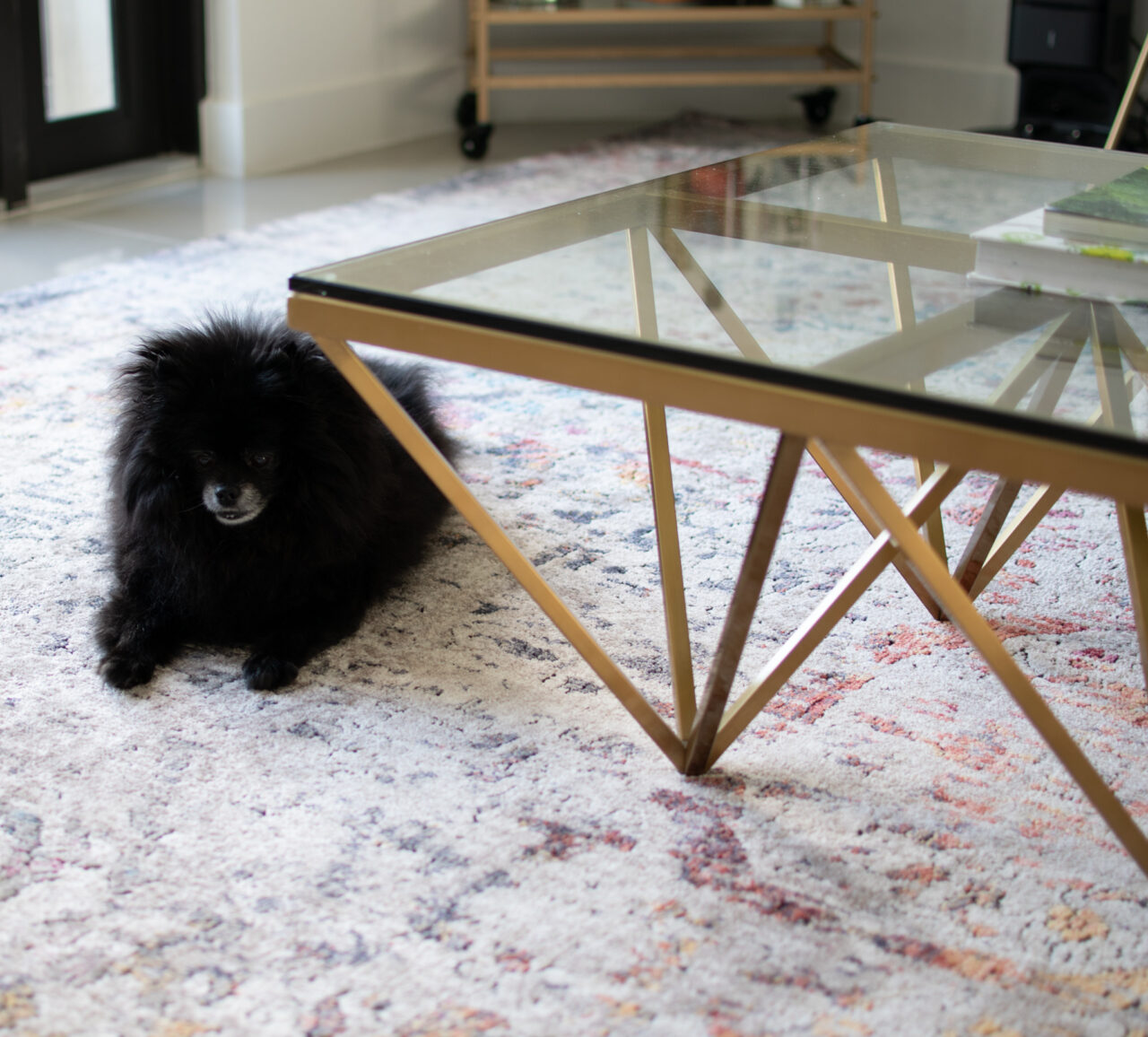 We Moved To Florida! First Peek Inside Mixing Modern & Antique